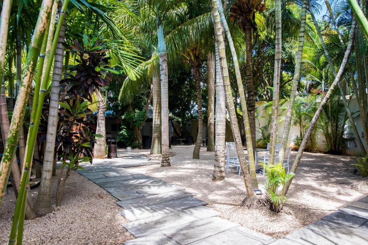 Hotel La Margarita Pointe aux Piments Exteriér fotografie
