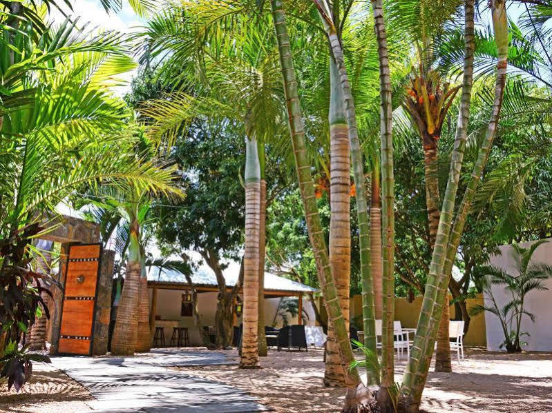 Hotel La Margarita Pointe aux Piments Exteriér fotografie