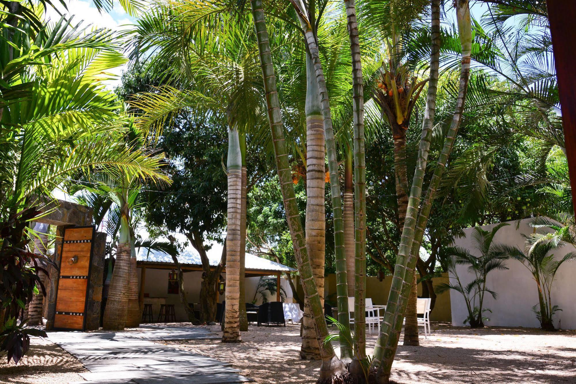 Hotel La Margarita Pointe aux Piments Exteriér fotografie